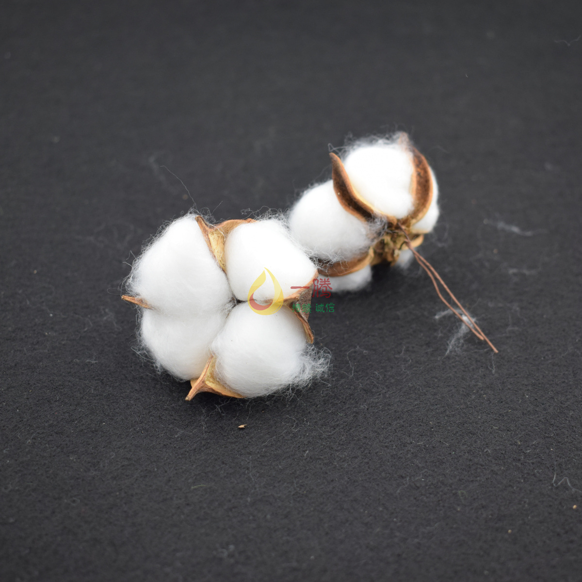 铁丝棉花头