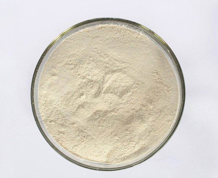 批发供应胰酶胰蛋白酶水解酶4000ug食品级生物酶制剂