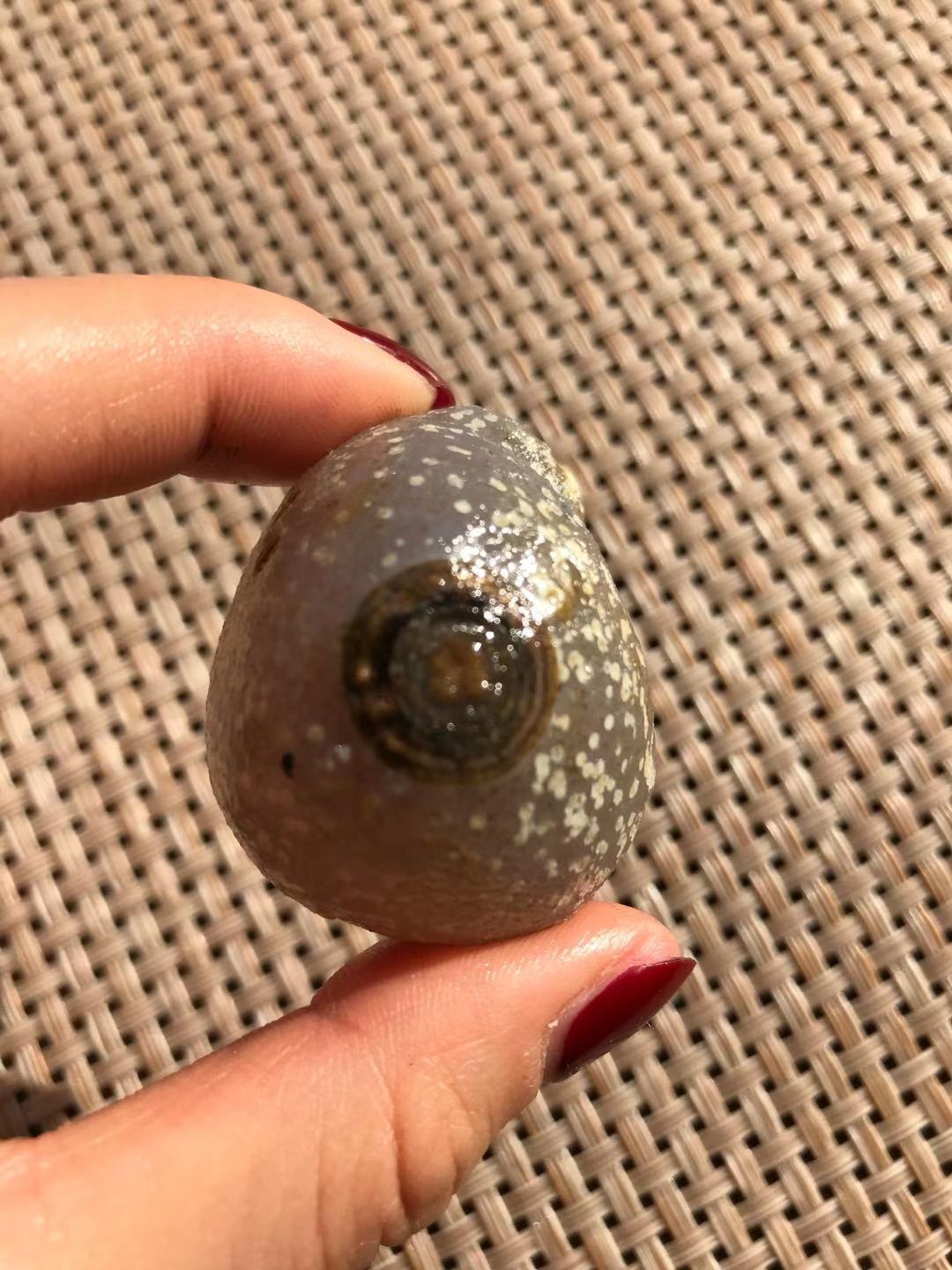 精品阿拉善戈壁原石玛瑙眼睛石