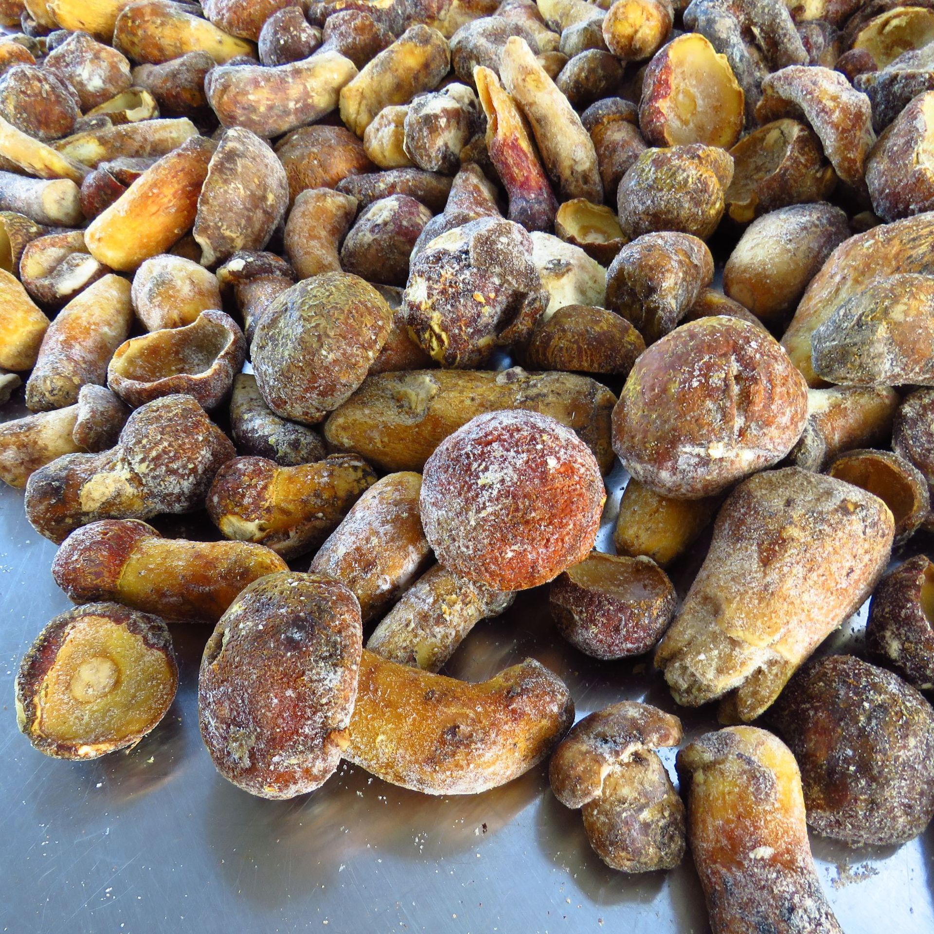 速冻 黄牛肝 野生黄赖头冻货 批发 牛肝菌 冷冻狮子头蘑菇