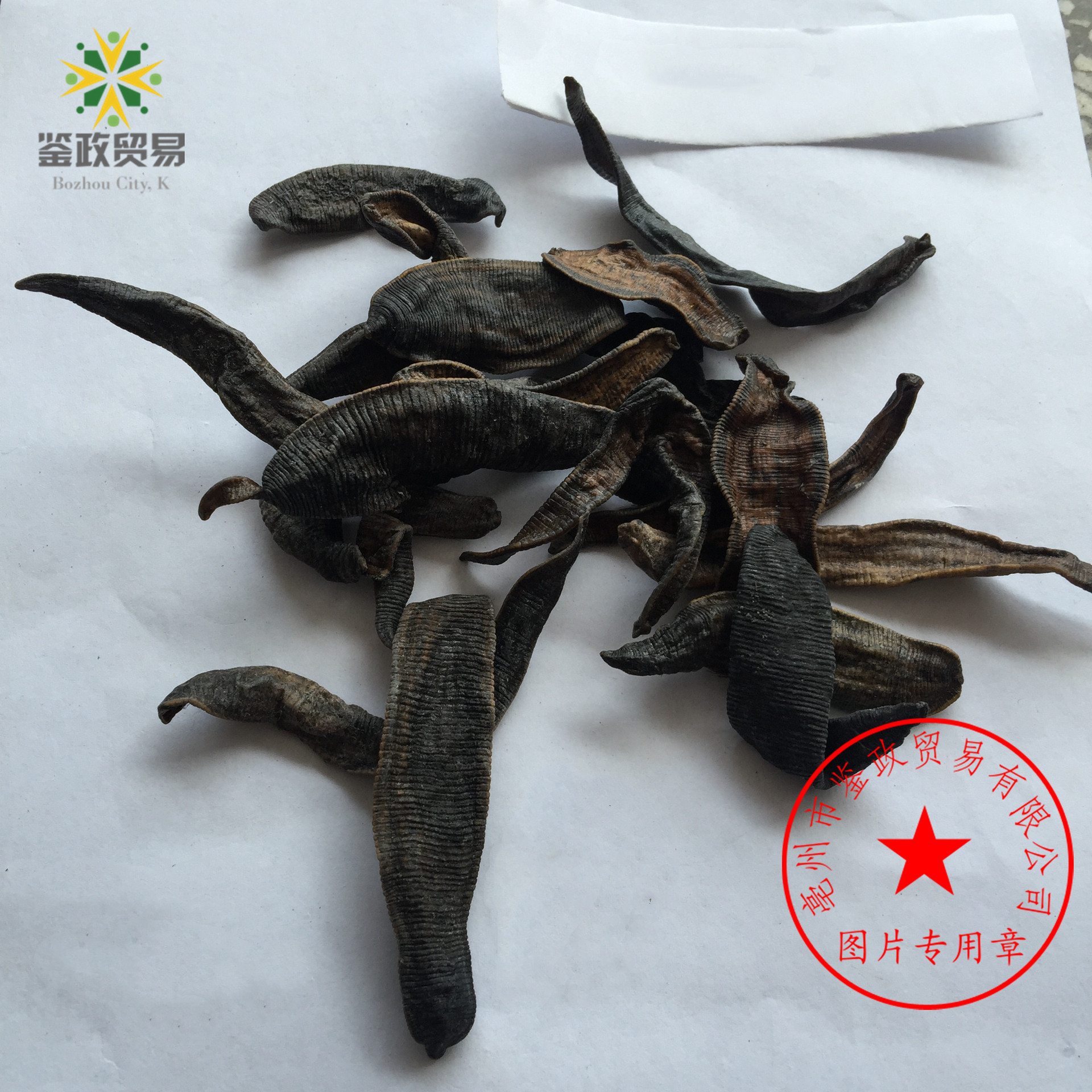 批发中药材 水蛭 干货清水 水蛭干 蚂蟥 质量保障 菲牛蛭 大货