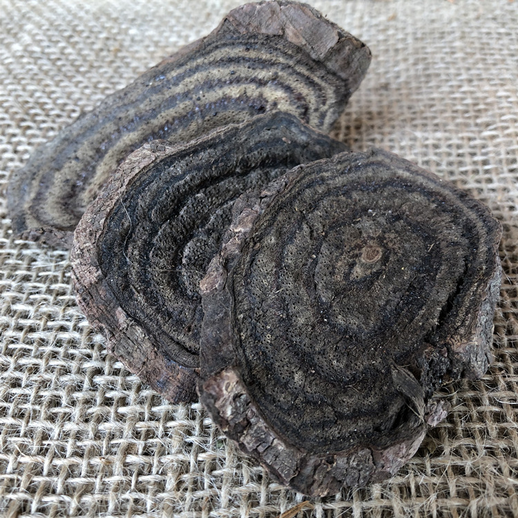 黑骨藤/黑龙骨 批发 代发货招商 量大从优采购企业