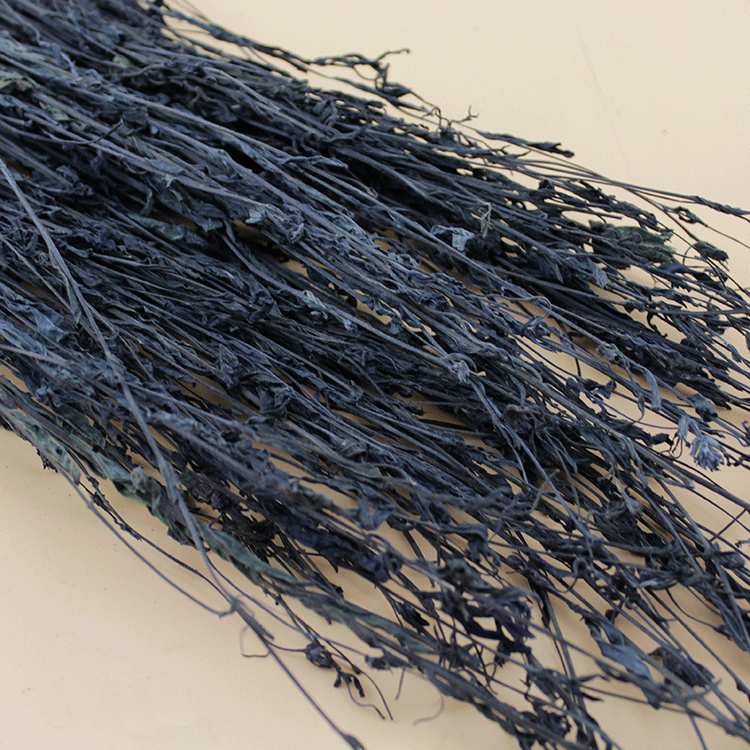 批发冷背奇中药材黑马草黑草羽箭草黑骨草克草黑马