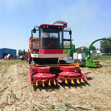 厂家直销新款玉米秸秆青储机 大型秸秆粉碎收割机 青贮牧草打包机