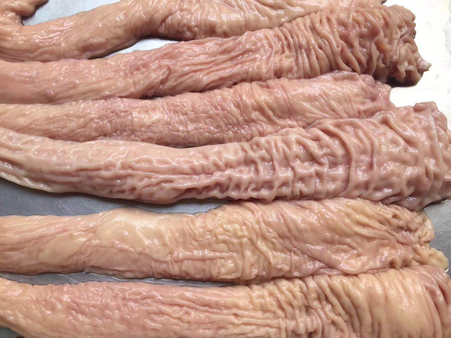 厂家批发大肠头食品猪大肠 火锅食材鲜猪大肠头 爆炒猪肠头