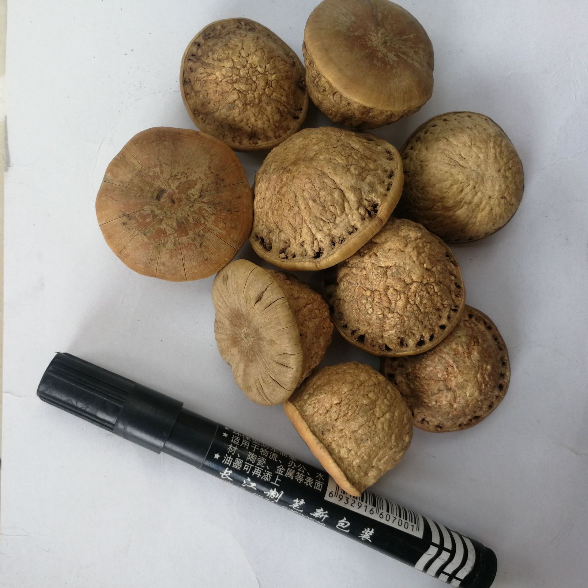 风流果 壮阳子 补肾果 益肾子 阴阳子木腰子 泡酒料 组合搭配