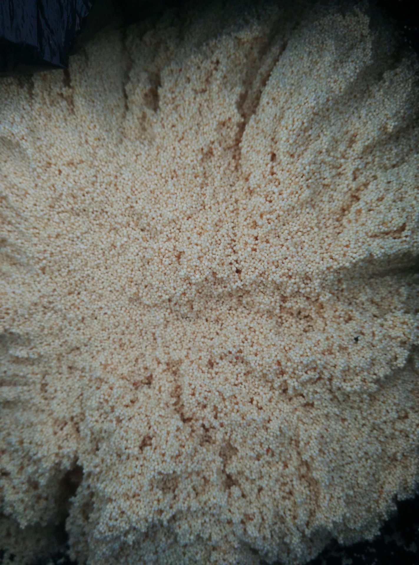 大孔吸附树脂 弱碱性阴离子树脂d301阴离子树脂 碱性离子交换树脂