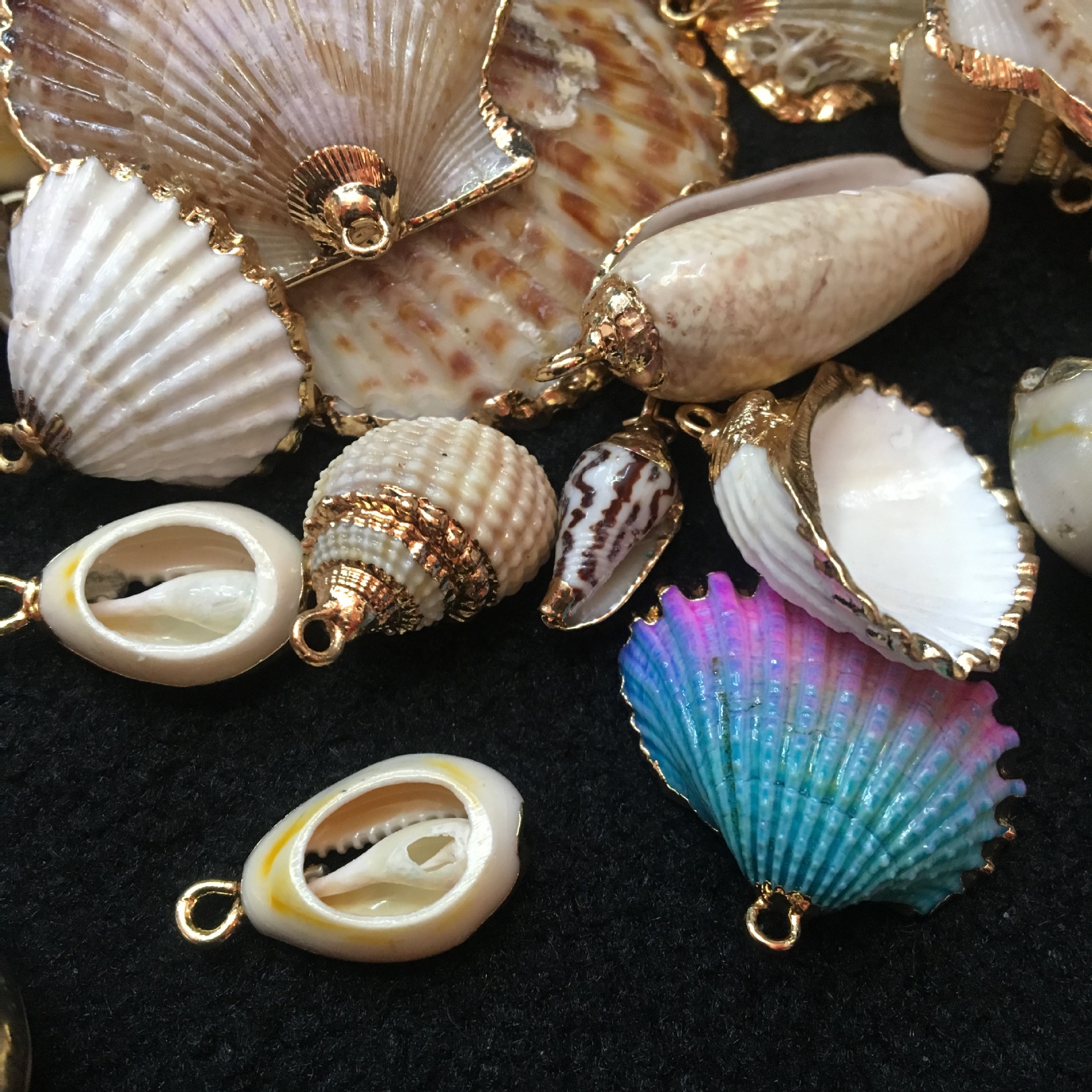 混发10个/包天然贝壳diy饰品配件贝壳切片贝壳配件吊坠彩色海螺