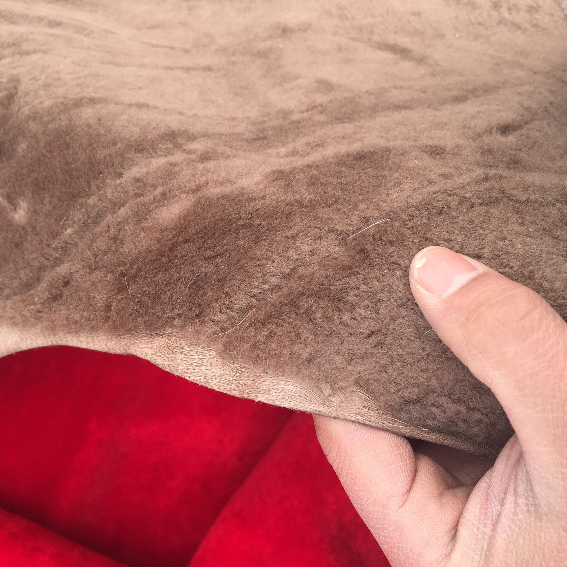 尾货羊皮羊剪绒皮毛一体原料