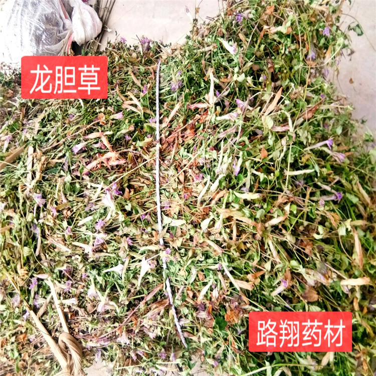 龙胆草 小龙胆草 紫花