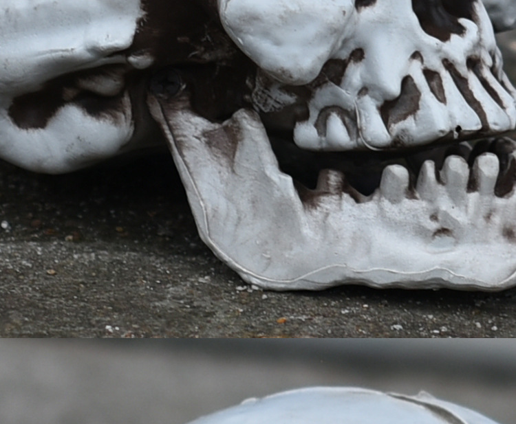 现货万圣节道具 酒吧鬼屋密室恐怖烂头鬼摆件骷髅头装饰 人骨模型