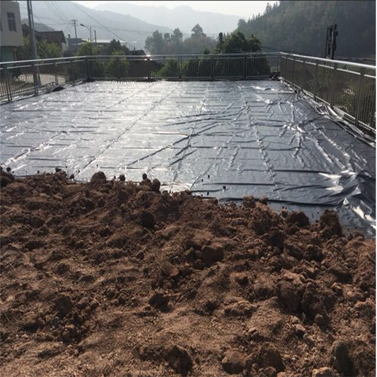 建鱼池防水材料国标500g土工膜房屋地基防水膜防潮膜蓄水池防渗膜