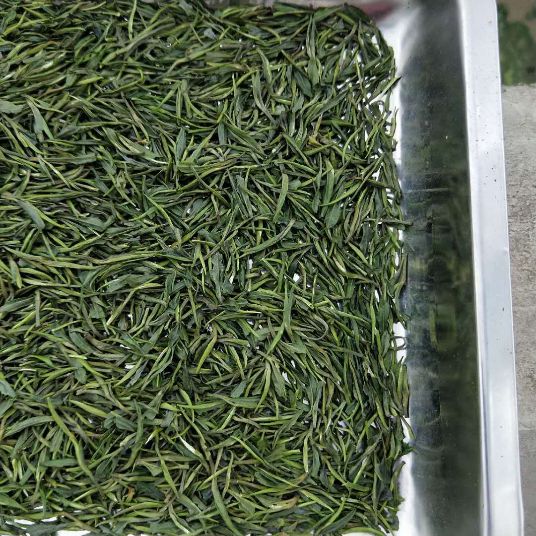 贵州茶叶青针湄潭翠芽竹叶茶2020新茶高山云雾绿茶批发500g清香型
