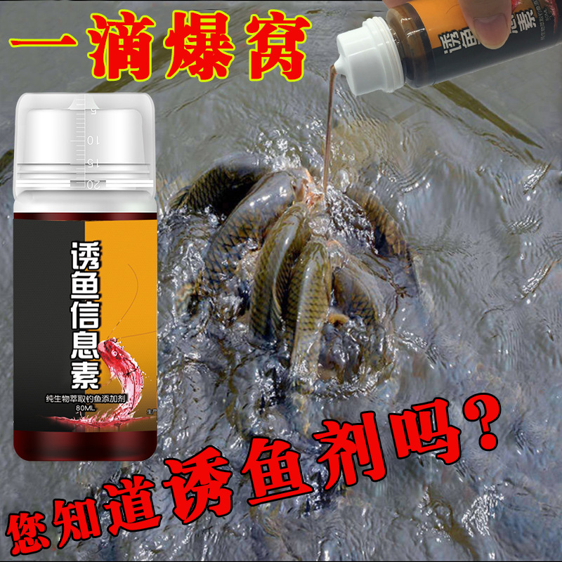 野钓江河专用小白条单开马口浓腥信息素小排鱼钓鱼小药dmpt德国鱼咬
