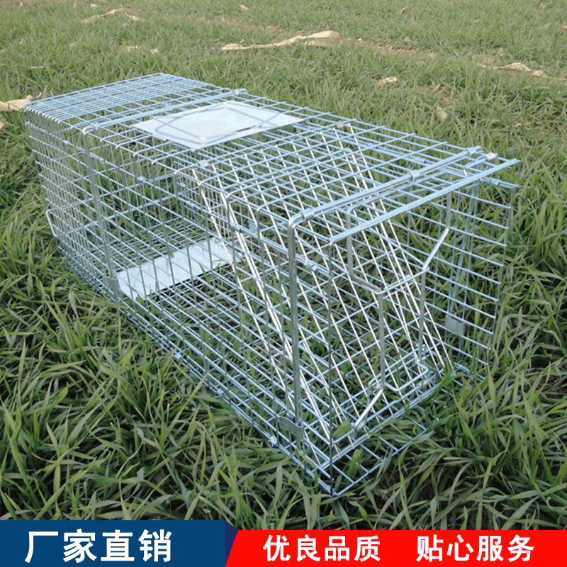 折叠捕鼠笼 定制捕捉笼 可连续使用捕捉笼 厂家直销 量大从优