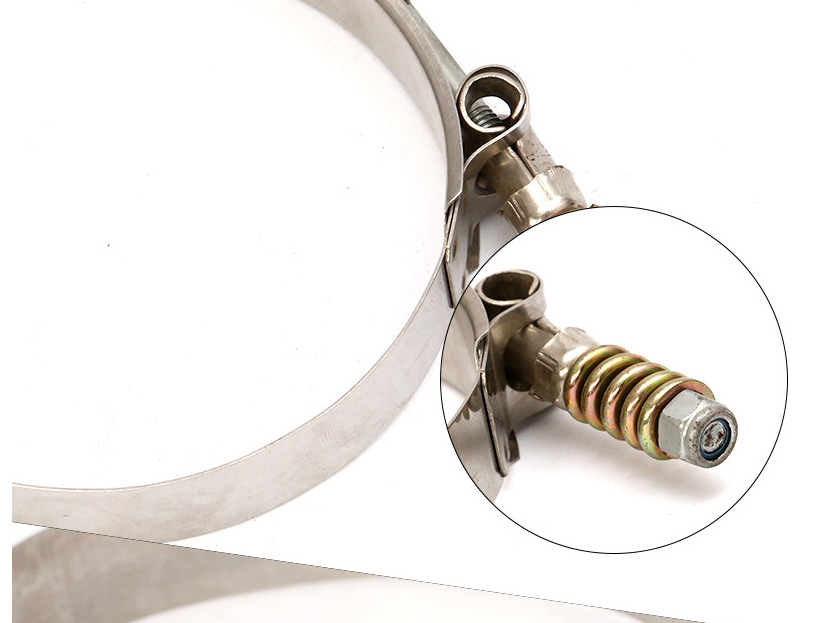 厂家直销紧固件 t型弹簧卡箍 t型弹簧强力卡箍 抱箍 环箍