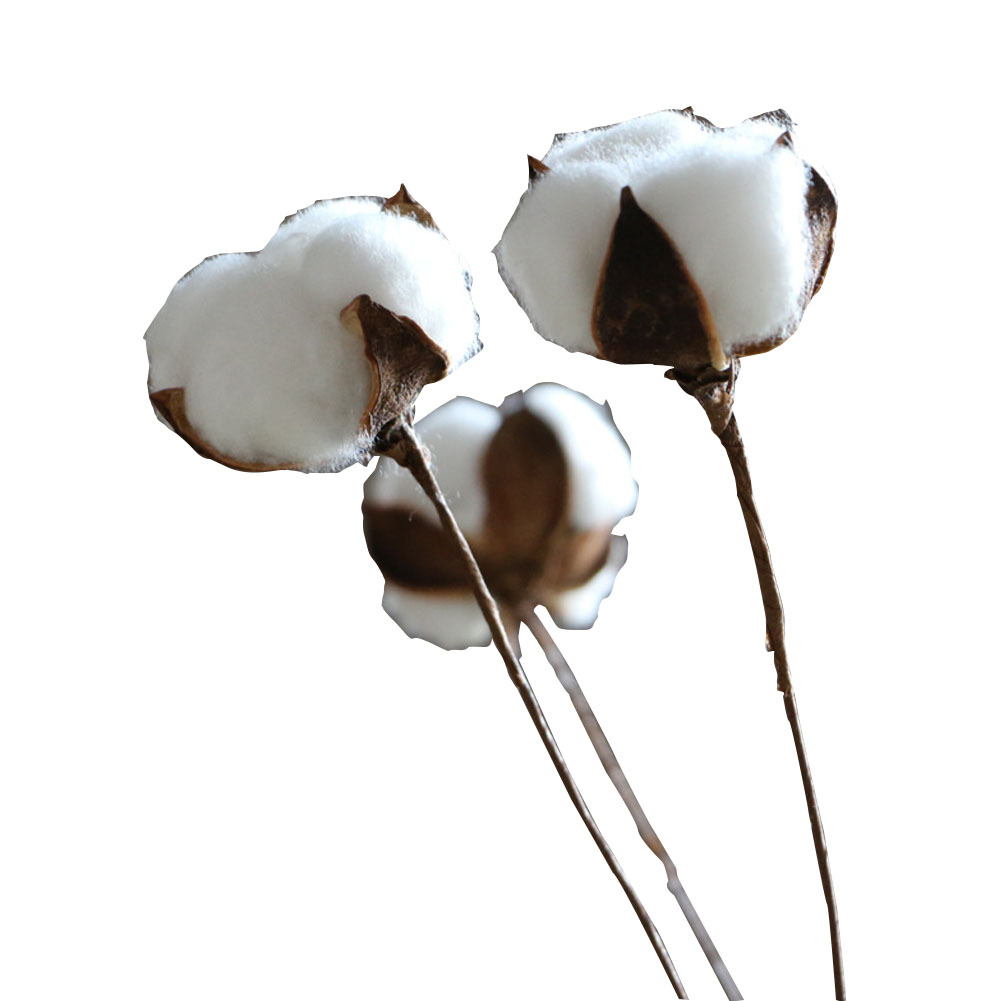 厂家直销手工仿天然棉花干花单枝圣诞花 拍摄道具 装饰