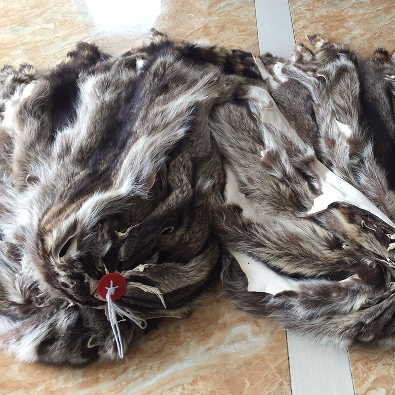 河北大营貉子皮xl号美洲貉新皮内胆平毛路定做加工染色批发处理