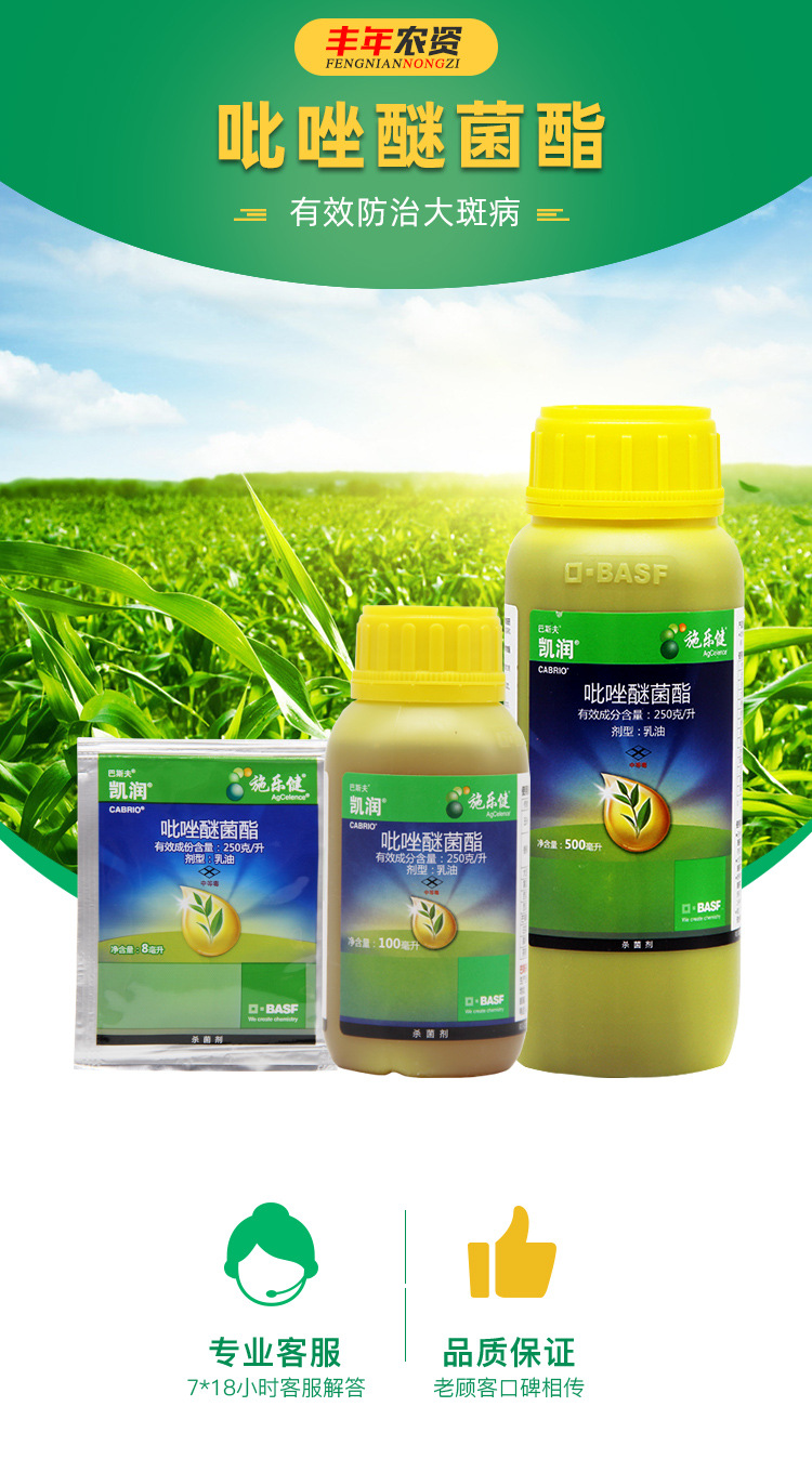 巴斯夫凯润250克/升吡唑醚菌酯叶斑病黑星病白粉病农药杀菌剂1升