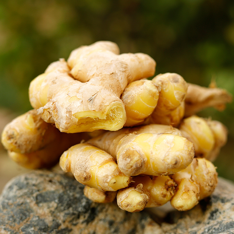 山东深山新鲜生姜土姜火姜大黄姜月子姜非小黄姜5斤装一件这款生姜斤