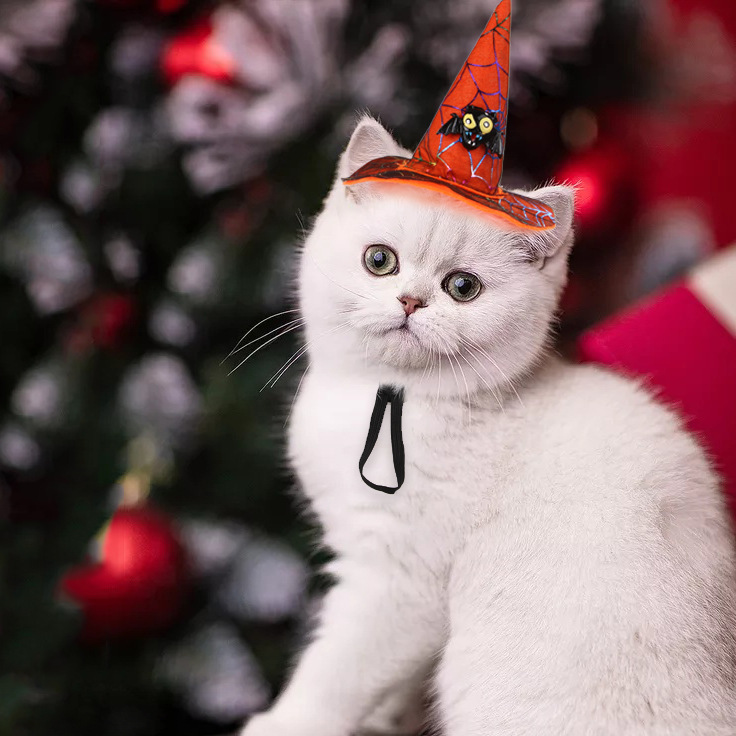 Creative New Pet Supplies Cat Halloween Christmas Hat Spider Pumpkin Headgear Dog Funny Headdress