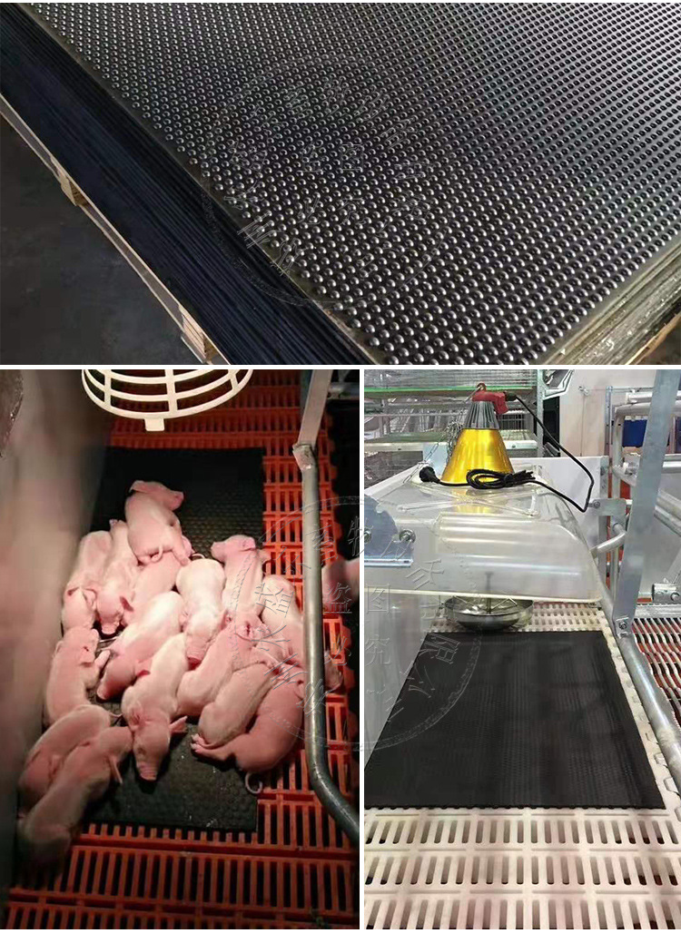猪舍小猪保温垫 母猪产床保温箱垫子 保育床仔猪取暖灯橡胶垫包邮