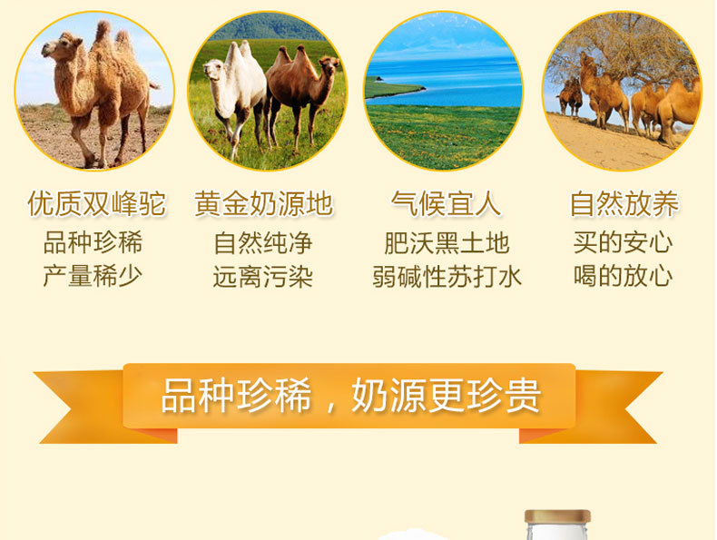 新疆驼奶粉320g益生菌骆驼奶中老年会销礼品罐装儿童驼奶奶粉批发