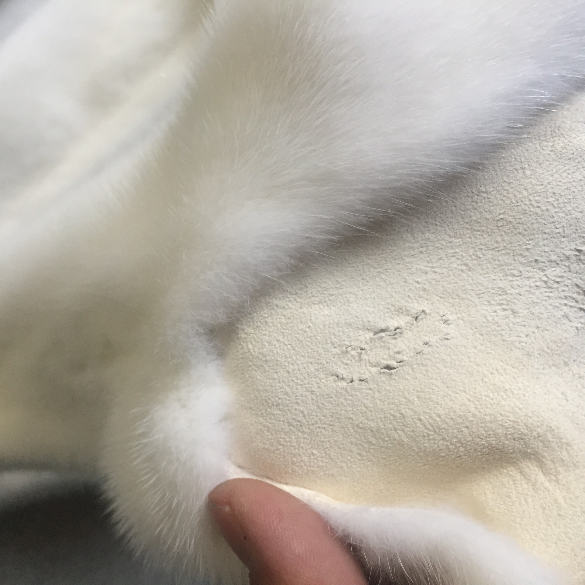 品名 水貂皮 产地/厂家 大营镇 毛皮形态 小毛细