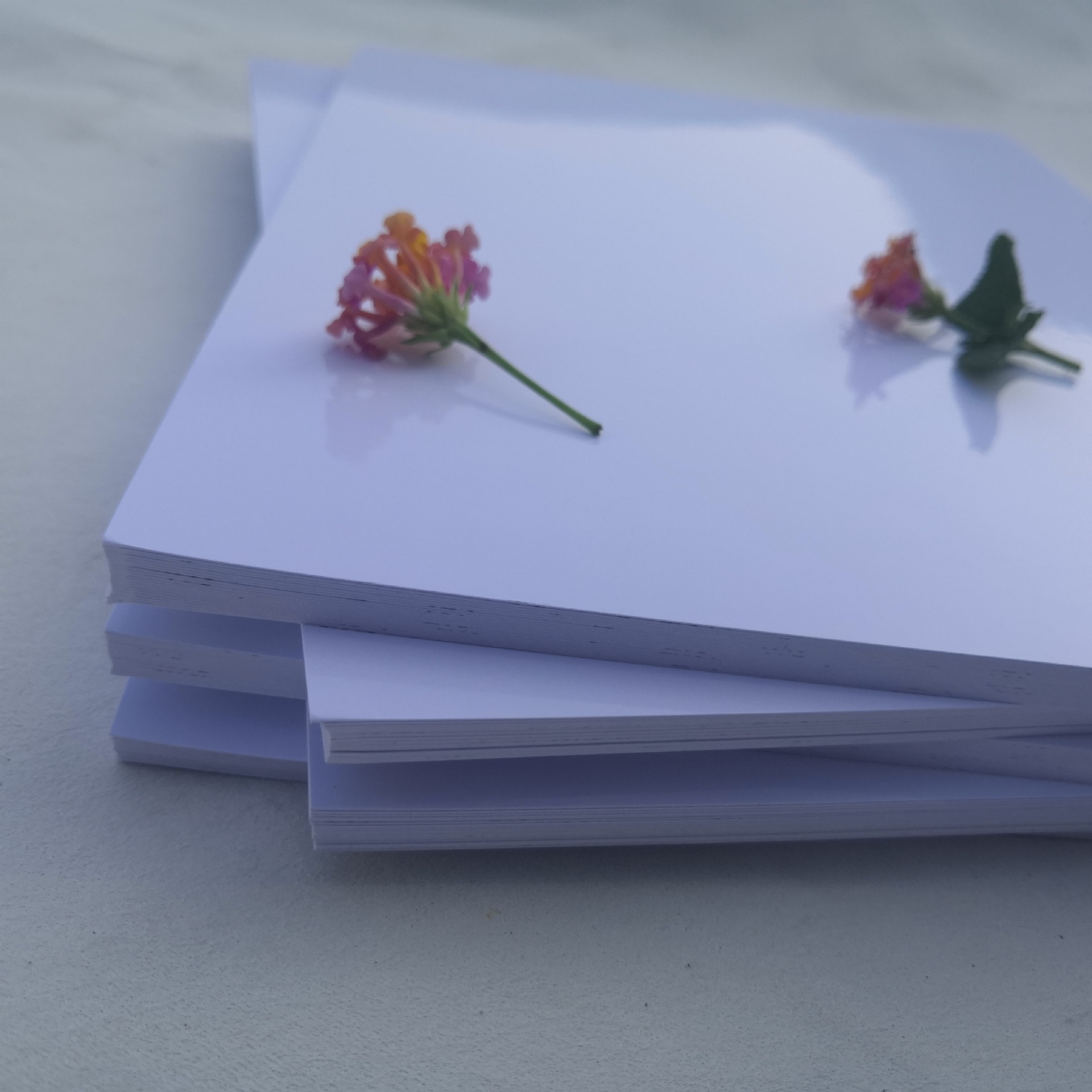 相纸 达美帝 高光相片纸喷墨打印相纸 照片纸 a4规格180克