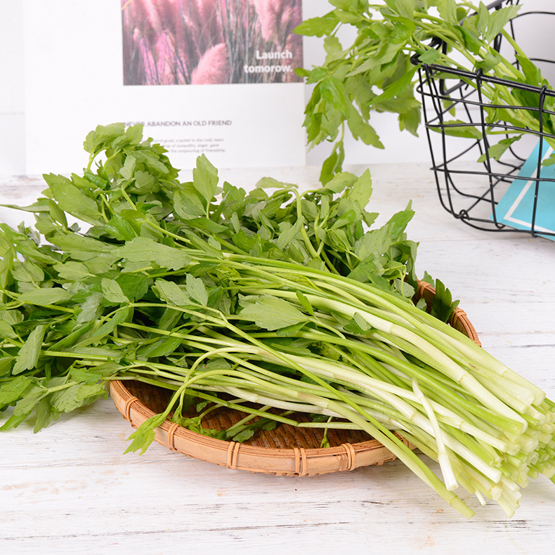 新鲜蔬菜水芹菜当季野芹菜去根带叶山芹菜蜀芹菜小香菜现摘现发