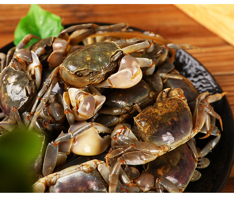 白玉蟹900g发财蟹醉蟹蟛蜞呛蟹咸蟹小螃蟹舟山海鲜特产一件代发