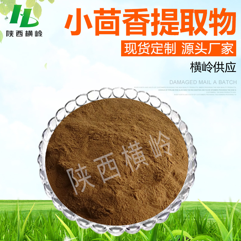 小茴香提取物 50:1高比例小茴香粉 土茴香提取物 1kg起订 水溶性