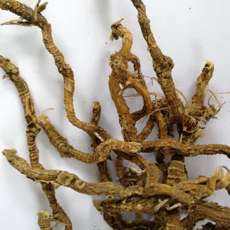 供应中药材 蜘蛛抱蛋 飞天蜈蚣 九龙盘 赶山鞭 大伸筋