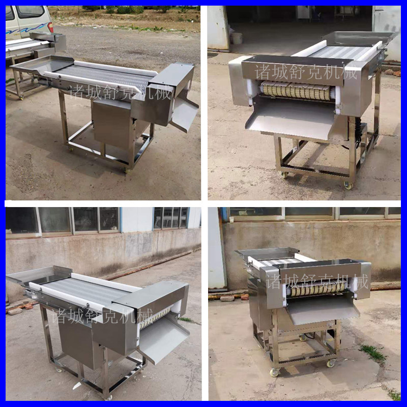 厂家定做网带式鱿鱼切条机 供用全自动鲜肉切片机 尺寸规格可定制