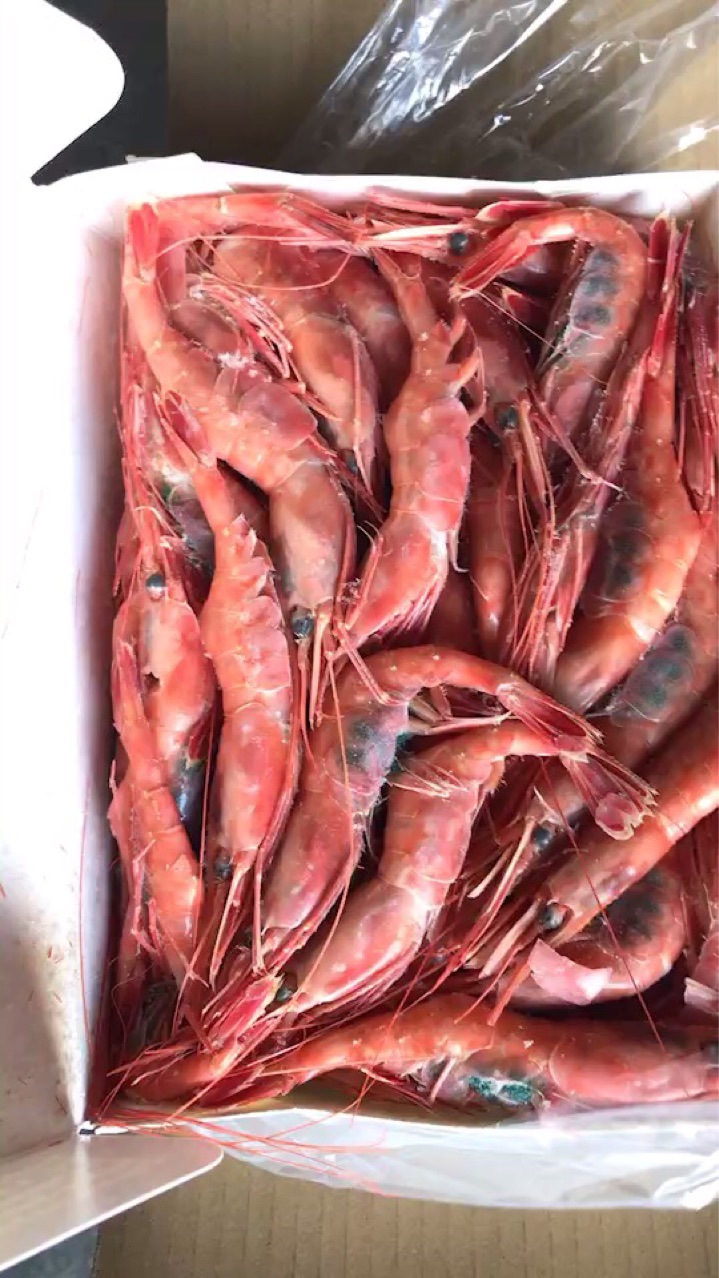 俄罗斯超低温甜虾,寿司虾,刺身日本料理