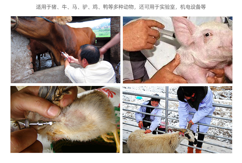 兽用一次性连续注射器针头 14x20猪牛羊注射针 注射针头