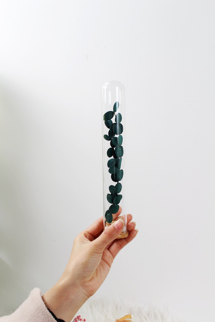 干花永生花植物标本 玻璃试管干花许愿花瓶装饰摆件生日伴手礼物