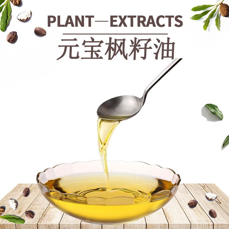 元宝枫籽油5神经酸元宝枫籽提取物鲨鱼酸四海厂家现货包邮