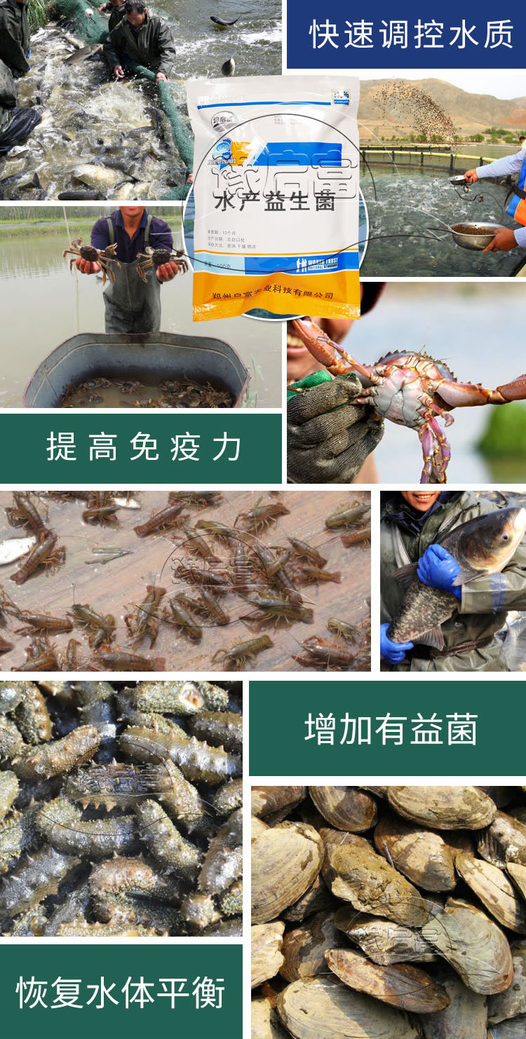 水产em菌种客户案例