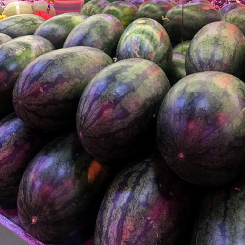 黑美人西瓜5.2-6.5斤