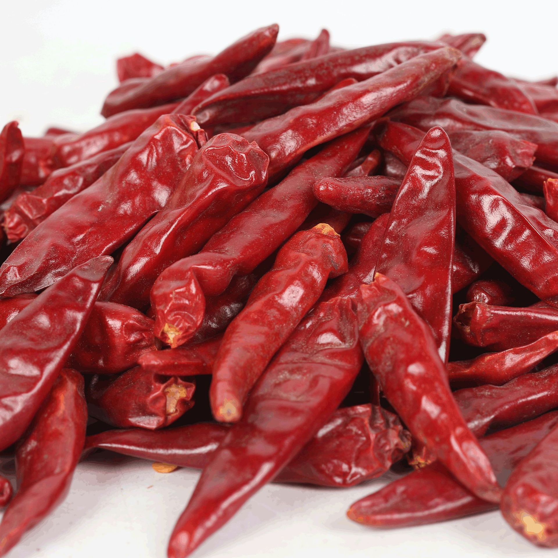 产地货源特辣内黄新一代朝天椒辣椒干河南干辣椒【1件25斤】包邮
