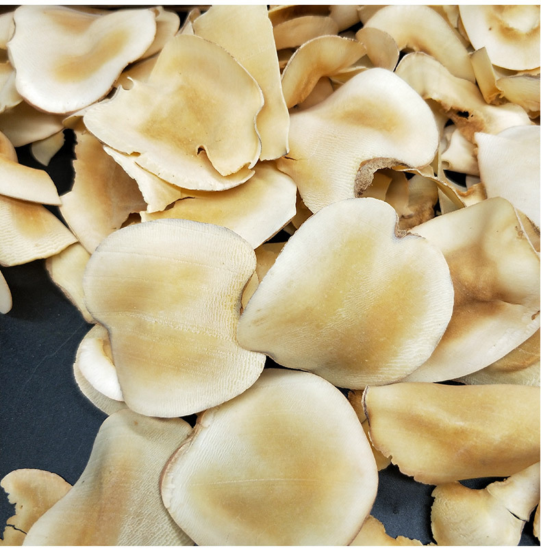 批发海底椰片 淡黄片薄片海底椰清热下火海底椰