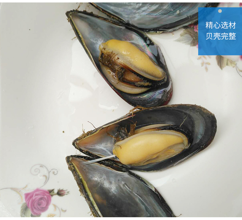 青口贝水产鲜活特大青口贝新鲜大海虹野生淡菜贻贝海鲜贝类烧烤