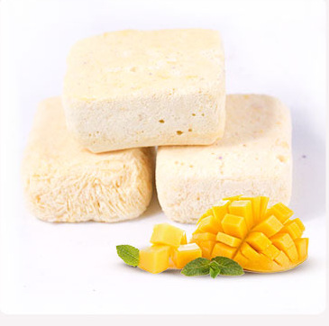 fd芒果酸奶块冻干冰淇淋华进冻干食品1公斤