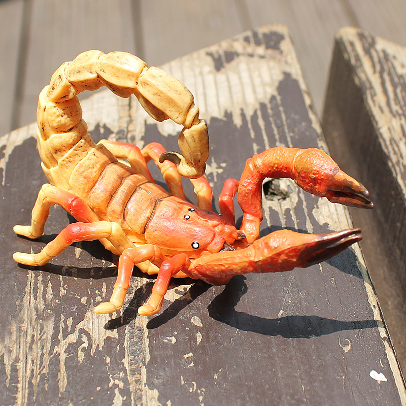 跨境仿真昆虫模型爬行动物蝎子塑料实心儿童认知科教教育玩具