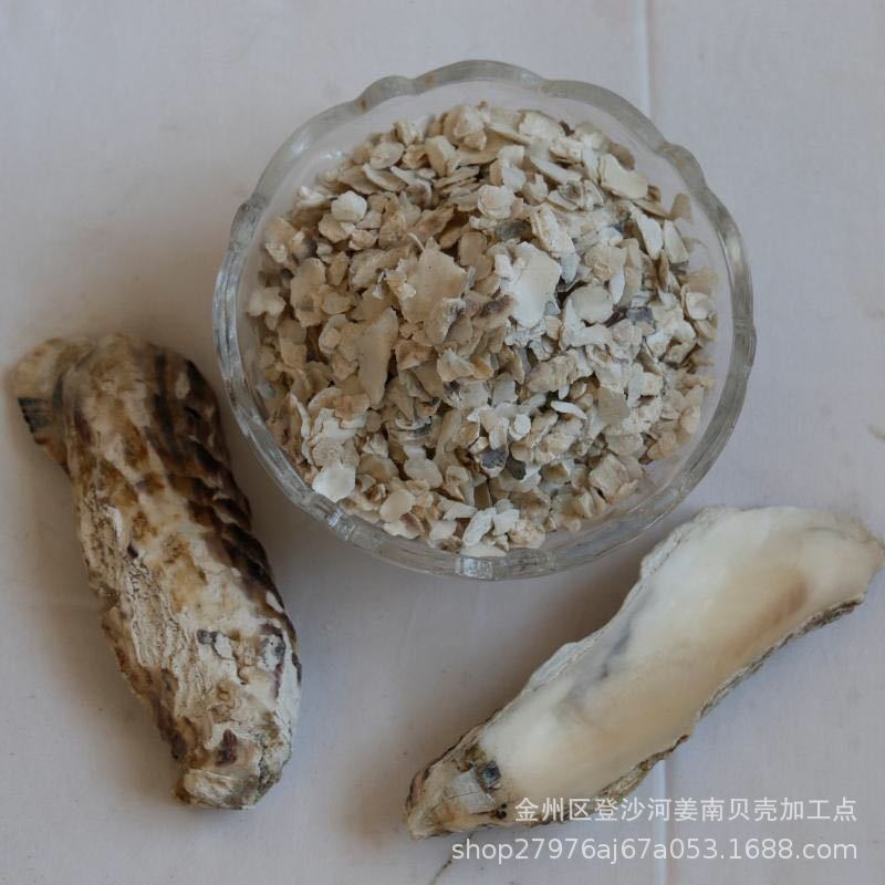 中贝壳粉