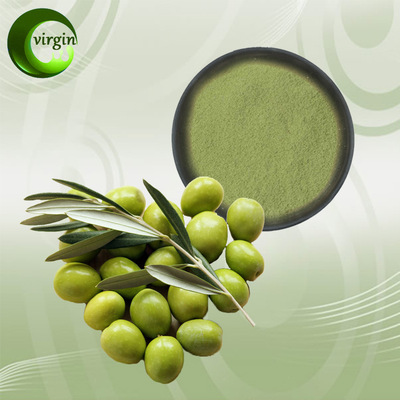 厂家直供 橄榄粉 青果粉 水溶性橄榄提取物 99%纯果粉 现货包邮