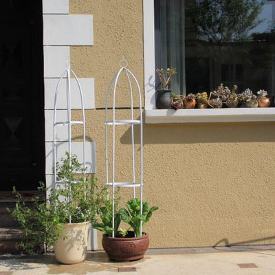 植物花爬架月季爬架 铁线莲爬藤花支架植物支架 植物爬藤架子花架