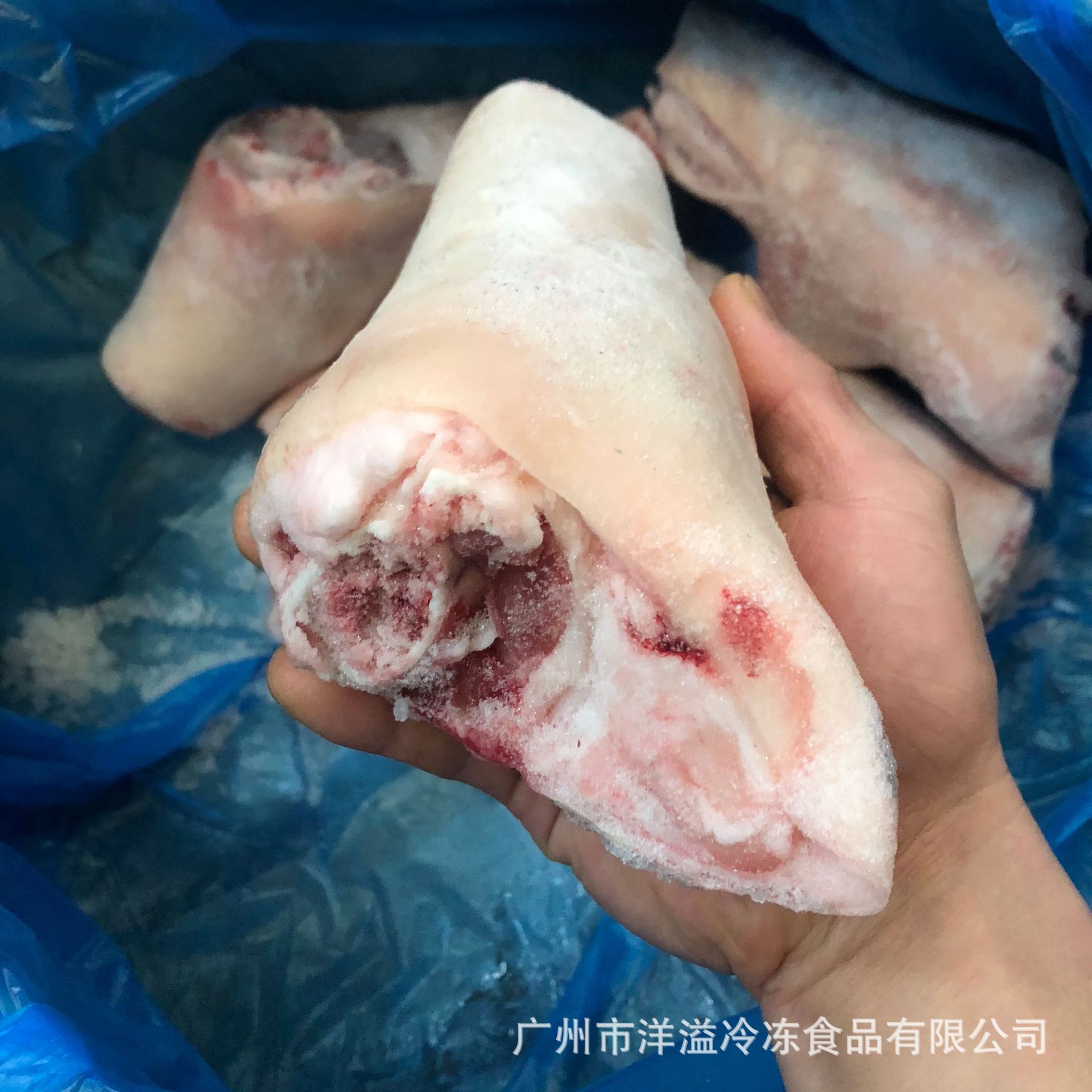 猪手粒 冷冻 猪脚圈 猪肘子猪后腿圈肉 餐厅饭堂福食食材可代切