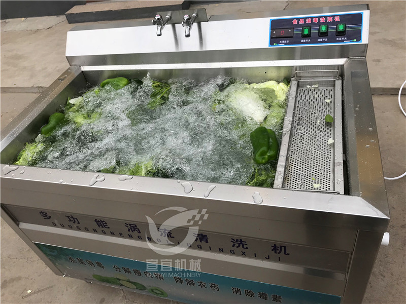 大白菜清洗机 商用洗菜机 气泡式清洗机厂家直销